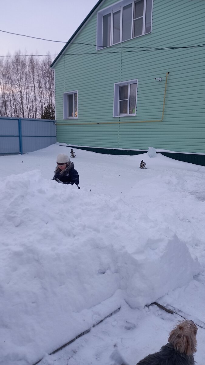 это Марта гуляет около дома