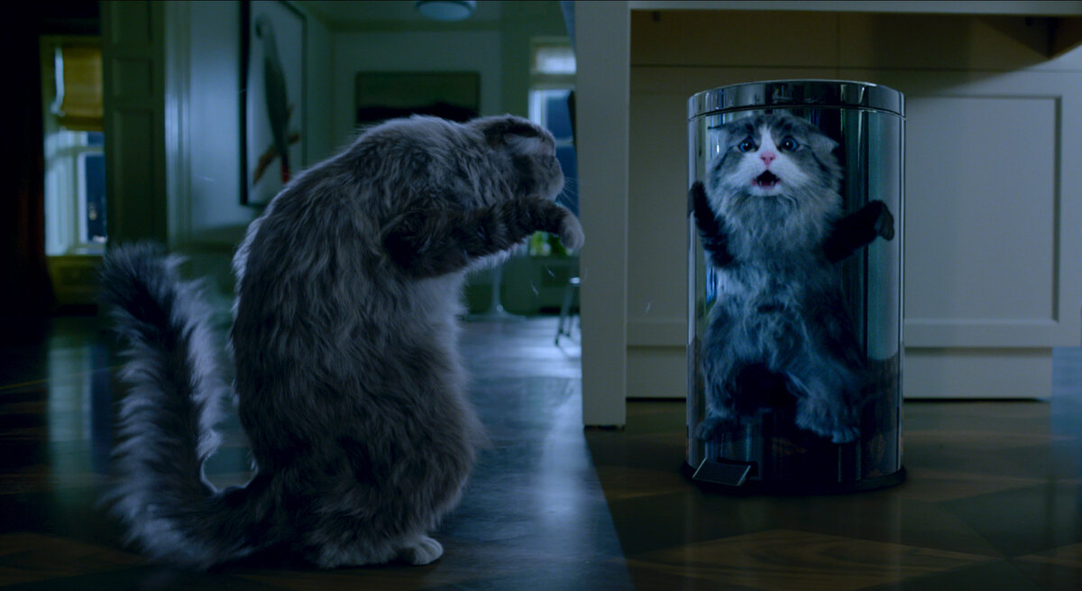 Мистер Пушистые штаны