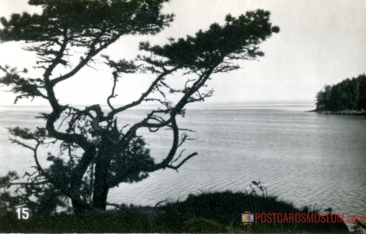 советская открытка 1974-го года