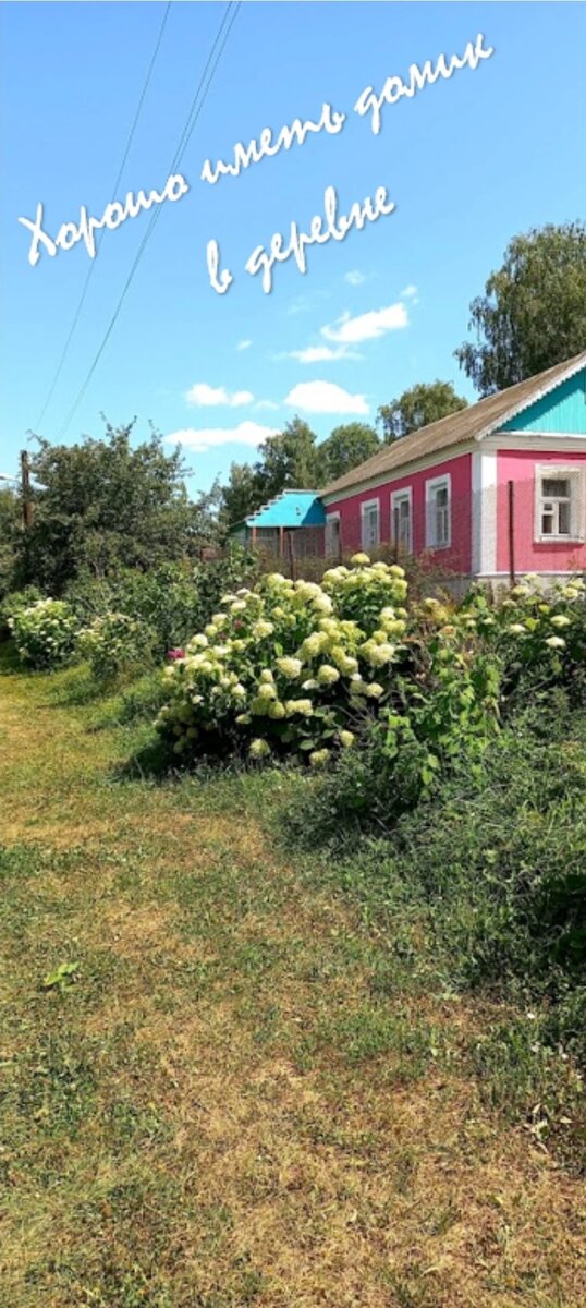    Как же хорошо в деревне! Последний раз мы там были 3 года назад с мужем. Я тогда еще беременная ходила. Потом родила и нам стало не до поездок. С грудным ребенком особо не покатаешься туда-сюда. Своей машины у нас нет, а толкаться в автобусе с кричащим свертком и полными сумками перспектива так себе.

   Но этим летом нам, во что бы то ни стало, захотелось сменить обстановку. Прошедший год выдался на редкость тяжелым: пандемия, изоляция, финансовые трудности и сплошная нервотрепка. Так все надоело! Иногда возникало желание превратиться в страуса, сунуть голову в песок и ничего вокруг себя не видеть. 

   Для того, чтобы сменить декорации, морально и физически расслабиться и наполнить свою жизнь новыми яркими впечатлениями, люди уезжают на море: Сочи, Египет, Турция… Мы всей семьей поехали к маме в деревню. 

   Вместо моря нам вполне хватило детского надувного бассейна в цветнике. На худой конец неподалеку были речка и пруд. Солнце - оно и в Африке солнце, та же жара, тот же загар. Только в стороне от дома лес и воздух совсем другой. Даже дышалось легче! 

   Терпеть не могу огород и всю эту “колхозную” возню. Но кто бы мне сказал тогда, что я буду с наслаждением елозить по кустам смородины и колоть пальцы, собирая крыжовник, не поверила бы! 

   Обычно первое, что хочется на отдыхе - выспаться. Это было не про меня. И вовсе не потому, что ребенок просыпался ни свет, ни заря. Но само утро… Как можно было спать, лениво ворочаясь с боку на бок? Когда этот божественный утренний свет, потихоньку, словно крадучись, проникал сквозь задернутые шторы и первыми солнечными лучами ласково гладил по лицу. 

   А вечера? Какие же это были вечера… Нет, ну семейные ужины в летней беседке и немного горячительного под шашлычок - это само собой. Но прогулки по деревне в тишине окутывающих сумерек… Когда только-только начинают загораться фонари вдоль дорог… У меня было такое чувство, что мне 15 лет. Первое свидание с мальчиком, романтика... Только в тот момент меня держал за руку муж, а рядом бежал наш сын. 

   И это были те незабываемые мгновения, когда я снова убедилась в том, что я самая счастливая женщина на свете.

   Домой вернулись как-будто с курорта.