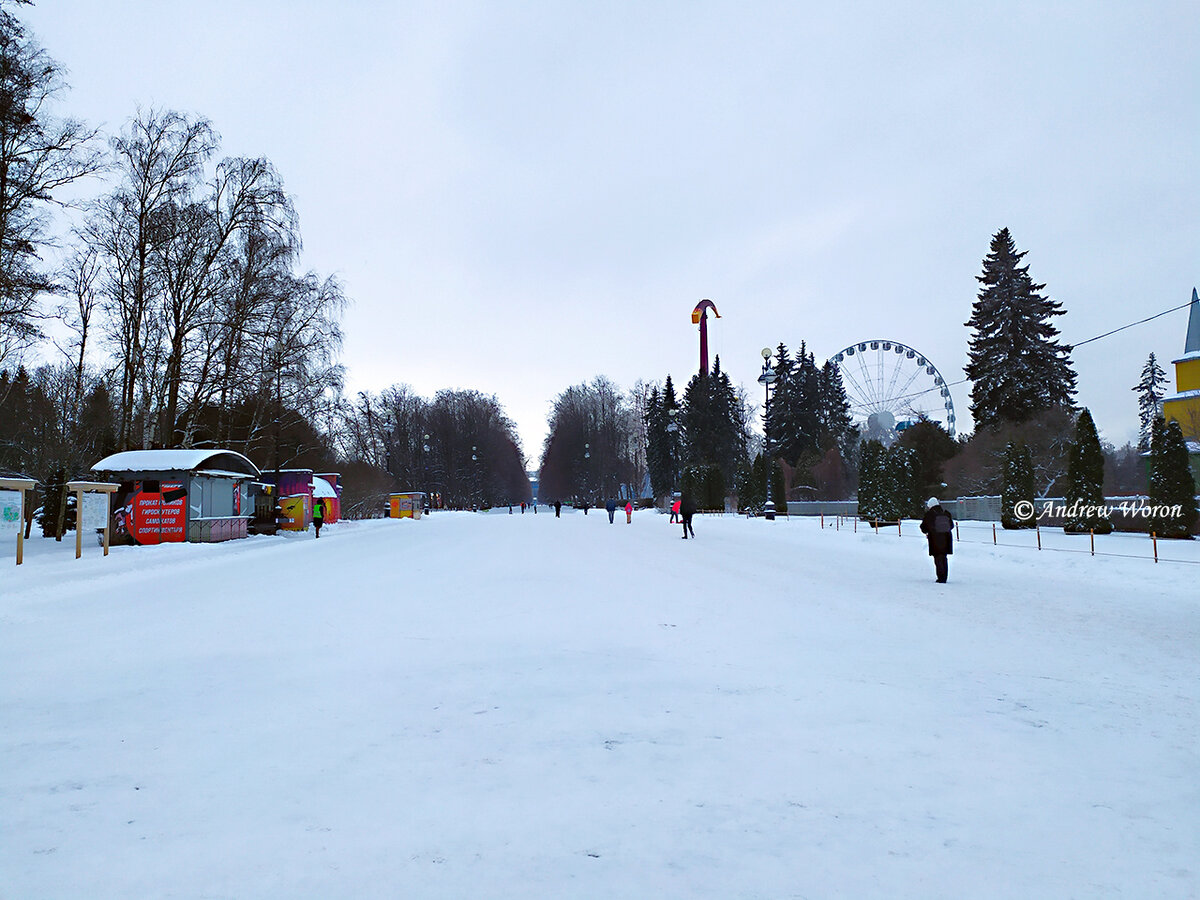 Начало Крестовского парка от станции метро