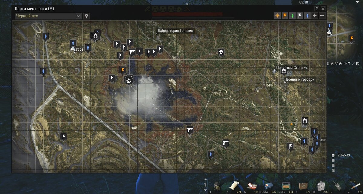 новая локация "чёрный лес"