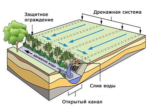 Зона отдыха на даче: планировка, дизайн и лучшие идеи оформления + фото