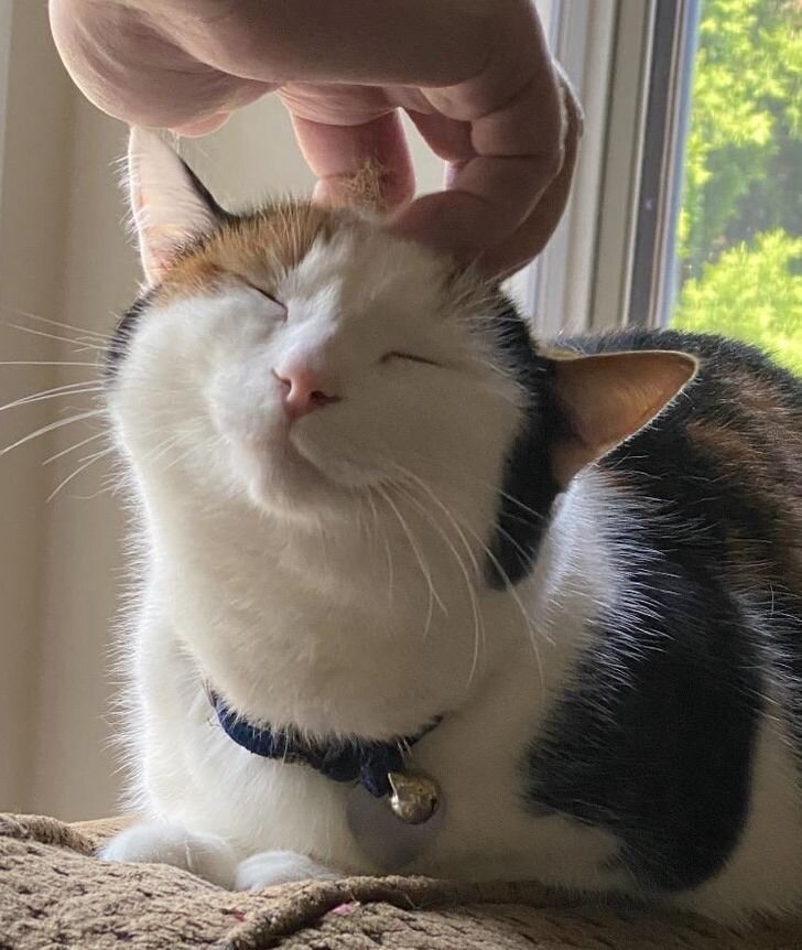 © GillyGooze / Reddit