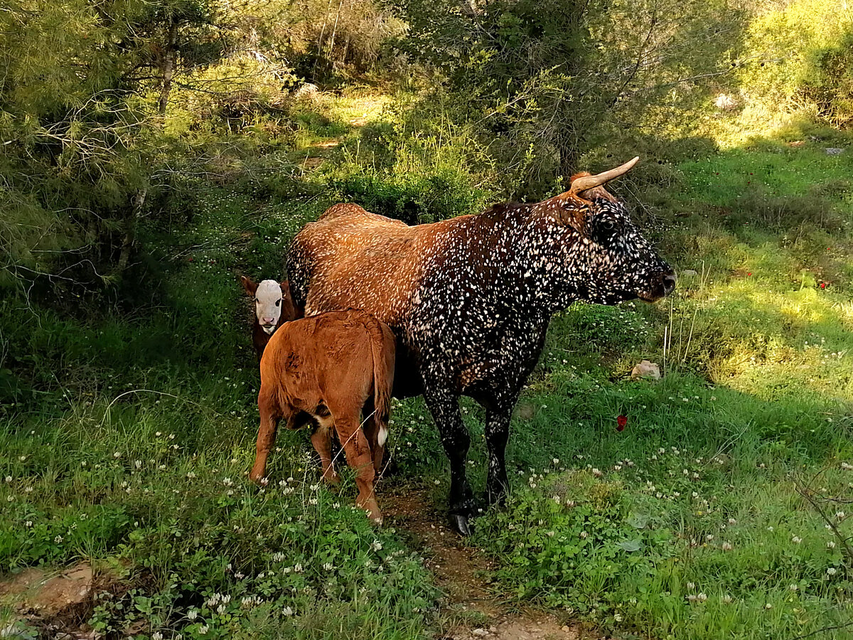 Фото мужа автора