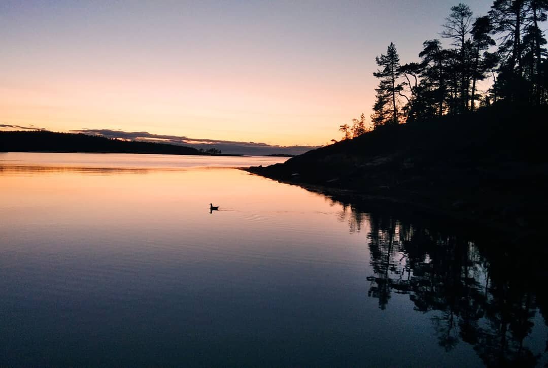 Утка-романтик