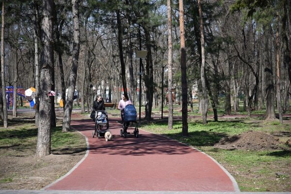 Фото Софьи Черновой