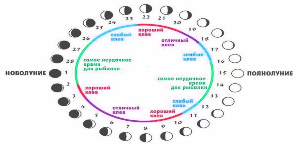 В какой фазе лучше. Влияние лунных фаз на клев рыбы. Влияние фаз Луны на клев рыбы. Фазы Луны влияющий на клев рыбы зимой. Влияние клева рыбы от фазы Луны.