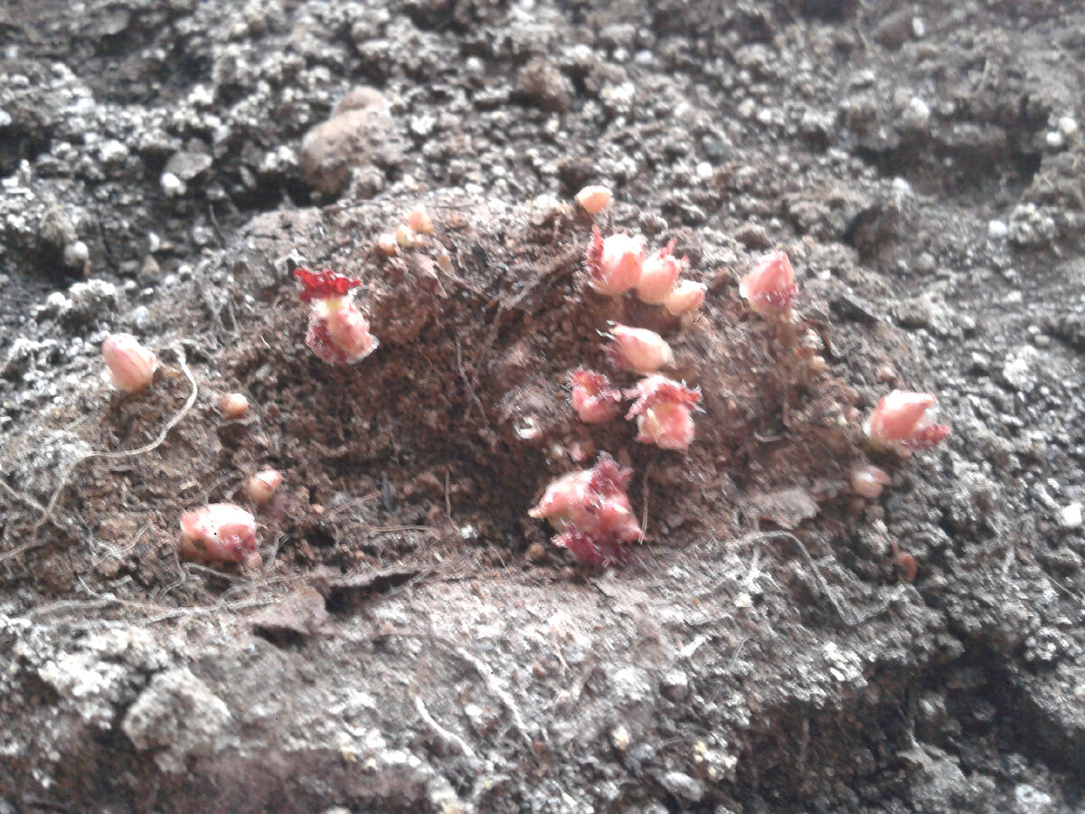 Просыпаемся