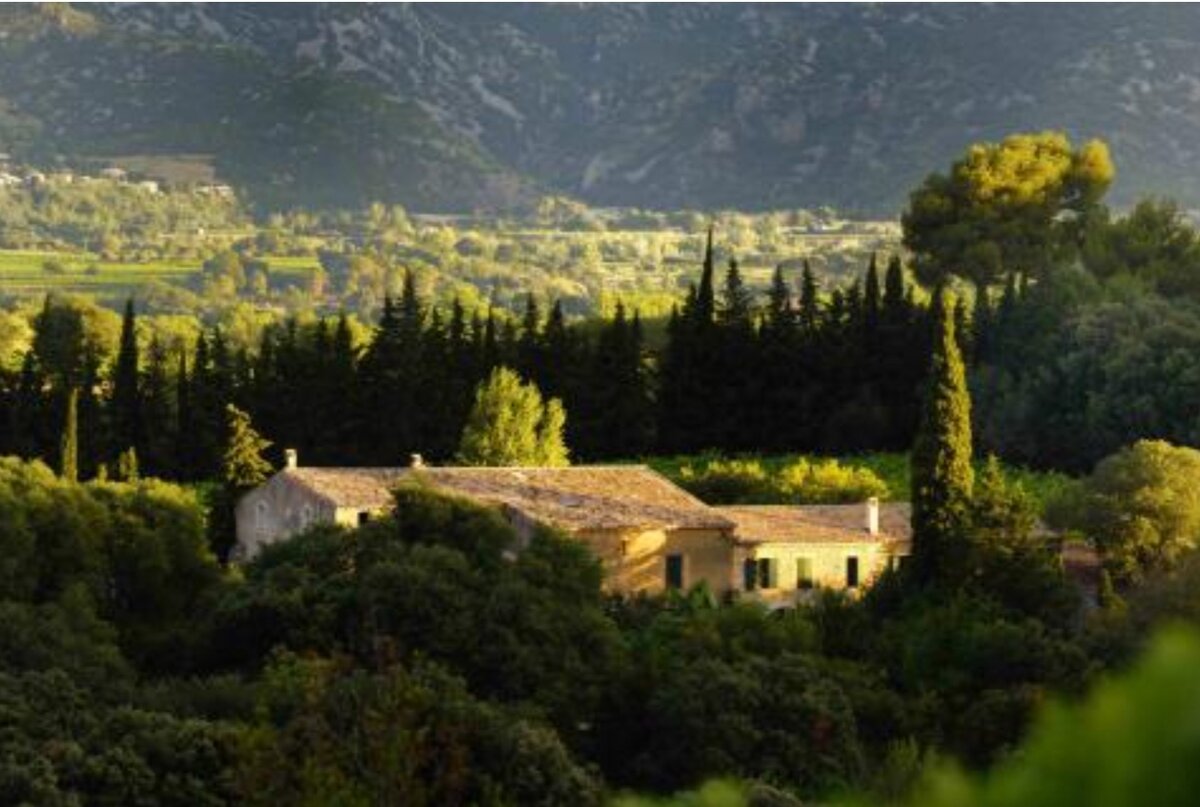 Mas  de  Daumas  Gassac 