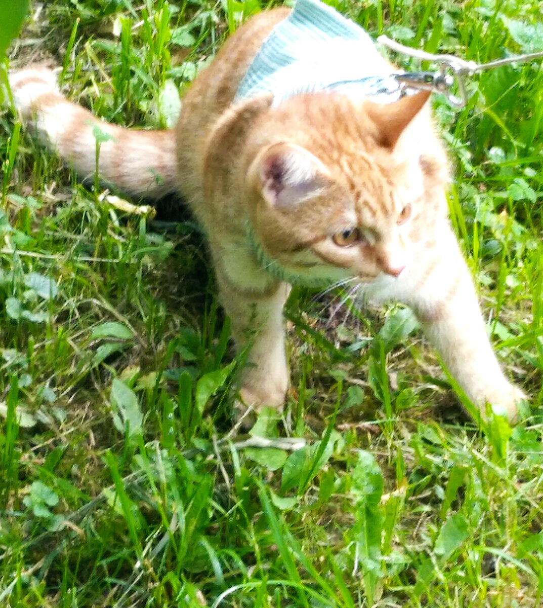 Личное фото.