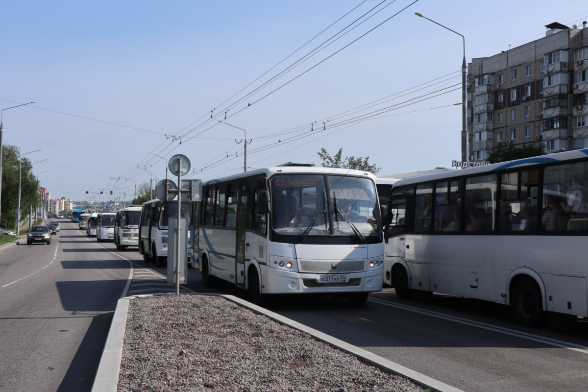 Автомиг пассажирские перевозки