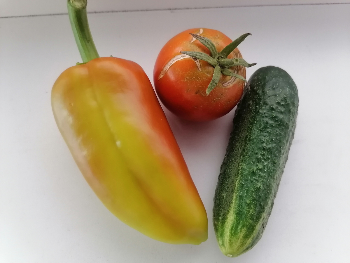 Первый урожай