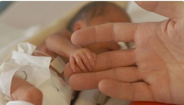 фото взято из свободного источника