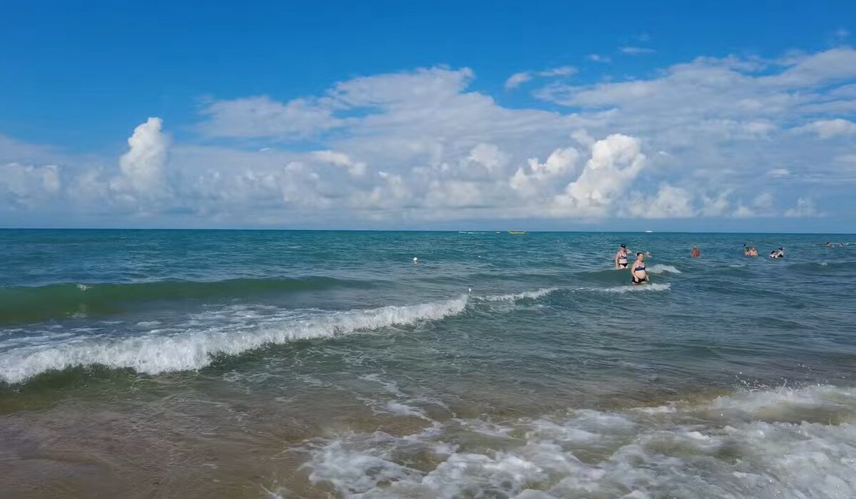 Проект живи у моря ижевск