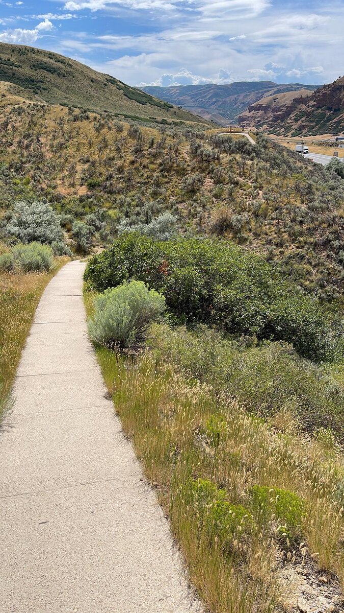 Мой путь в IT