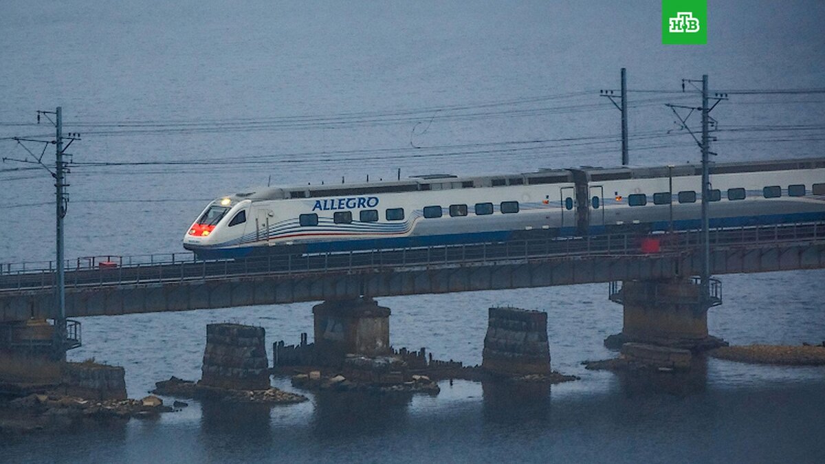    Фото: yelkz / соцсети