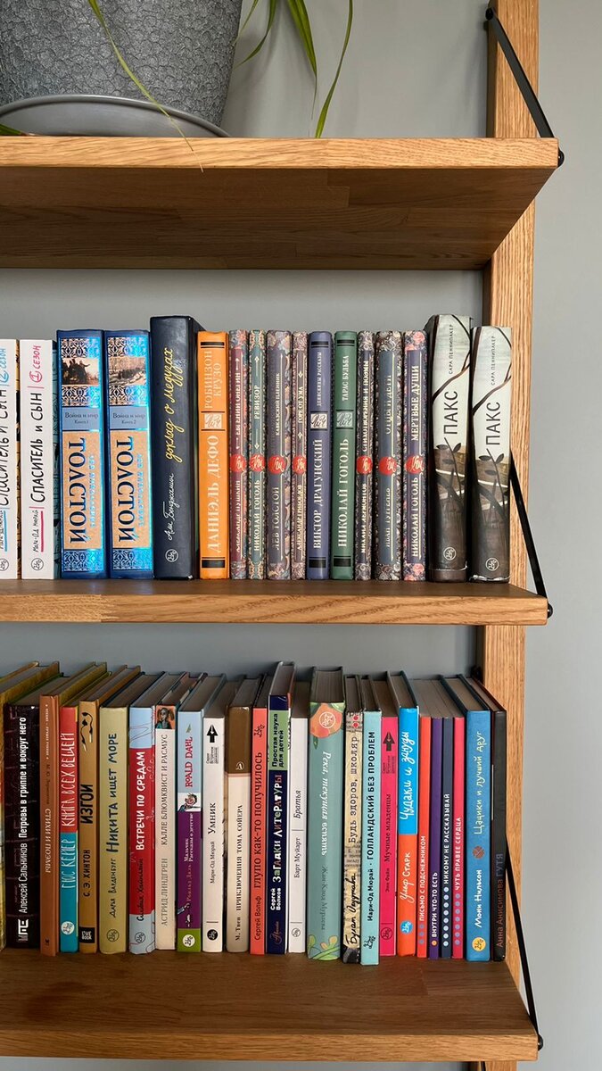 Книжная полка у нас дома