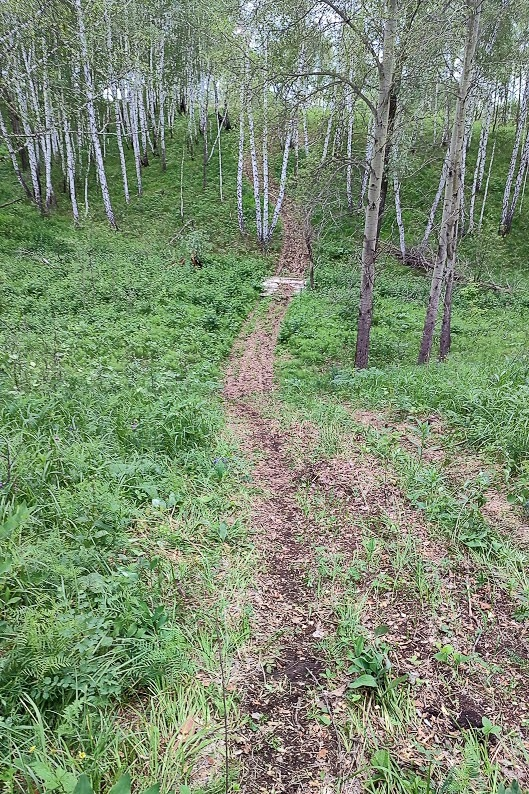 Дина Абубакирова ©