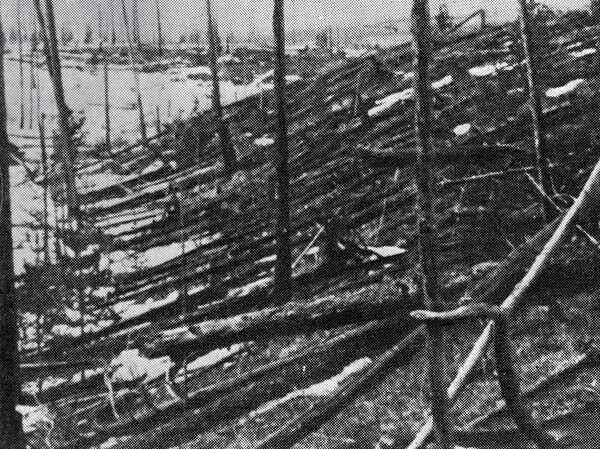   © РИА Новости Василий Литош