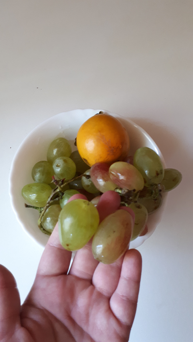 Один розовый,второй зеленый