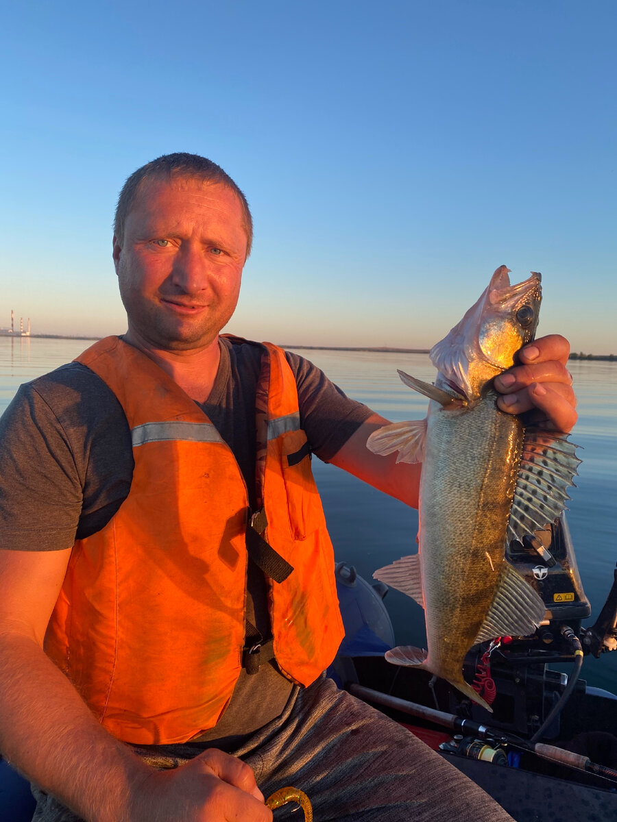 Судак на Ириклинском водохранилище. 21.09.2022