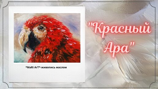 🎨 _Красный Ара__живопись маслом для начинающих_Марина Бердник #живописьмаслом #tutorial #попугайара