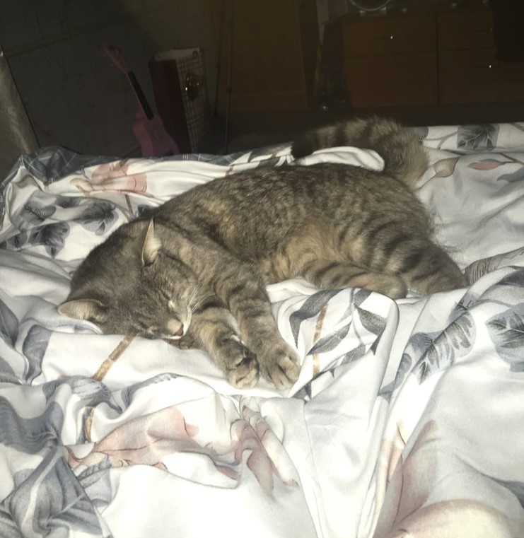 Жузик