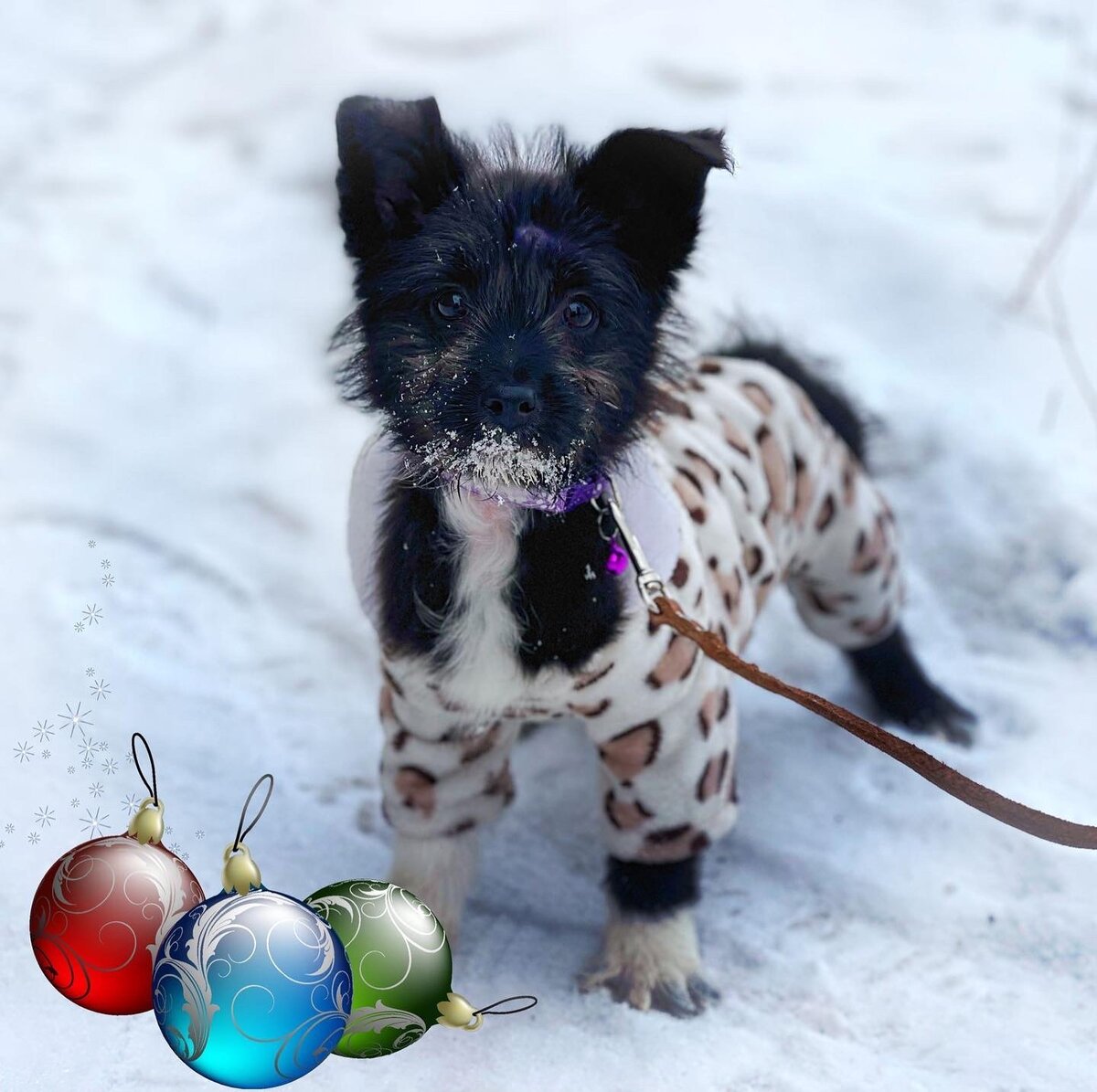 Малышка ждала свою семью