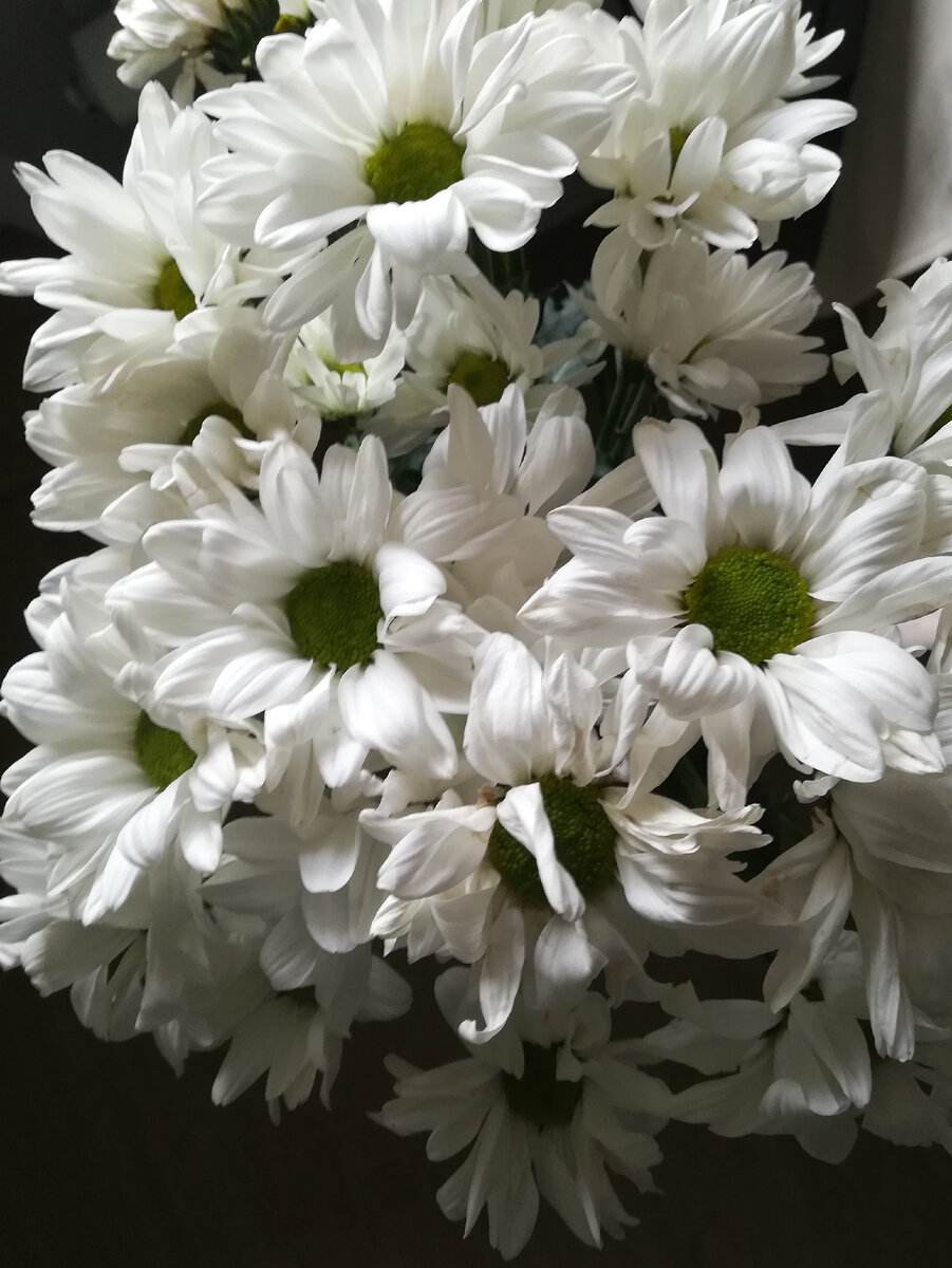 Приятности от мужа