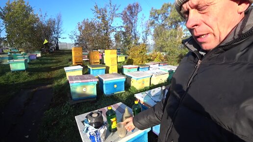 Пасека владимира рябухина