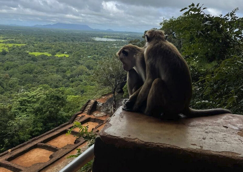    «Вместо Казахстана и Киргизии»: политолог назвал страну «для зимовки»