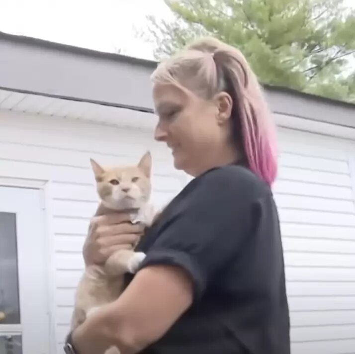 Тор с хозяйкой. Источник фото: https://animalchannel.co/kitten-saves-family-carbon-monoxide/?