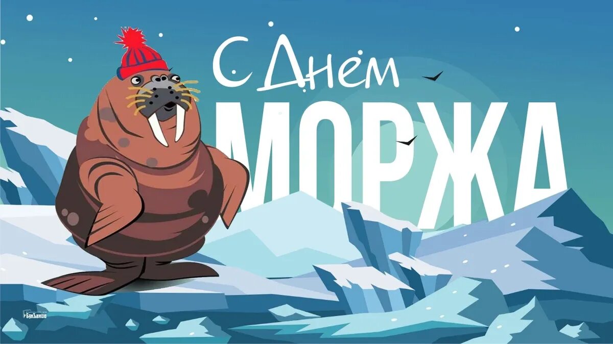 День моржа. Иллюстрация: «Курьер.Среда»
