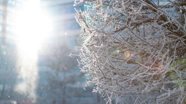   © Sputnik / Абзал Калиев