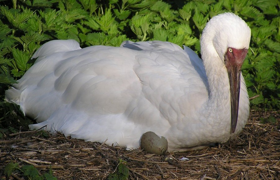    Фото: Минприроды России