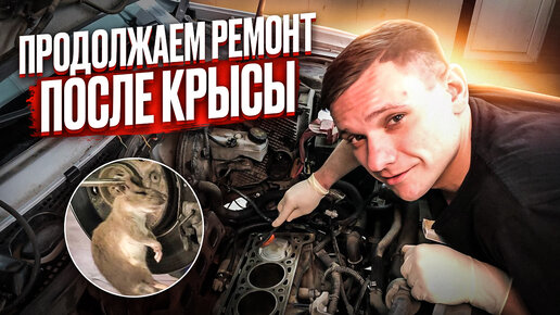 ПОСЛЕДСТВИЯ ОБРЫВА РЕМНЯ ГРМ НА ДАСТЕРЕ С КРЫСОЙ #буднисервиса ...