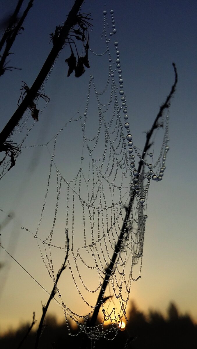 моя фотография сфотографированная на смартфон