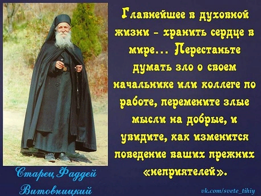 Наставление монахов. Старец Фаддей Витовницкий духовные поучения. Высказывания святых отцов. Мудрые православные высказывания. Высказывания православных святых.