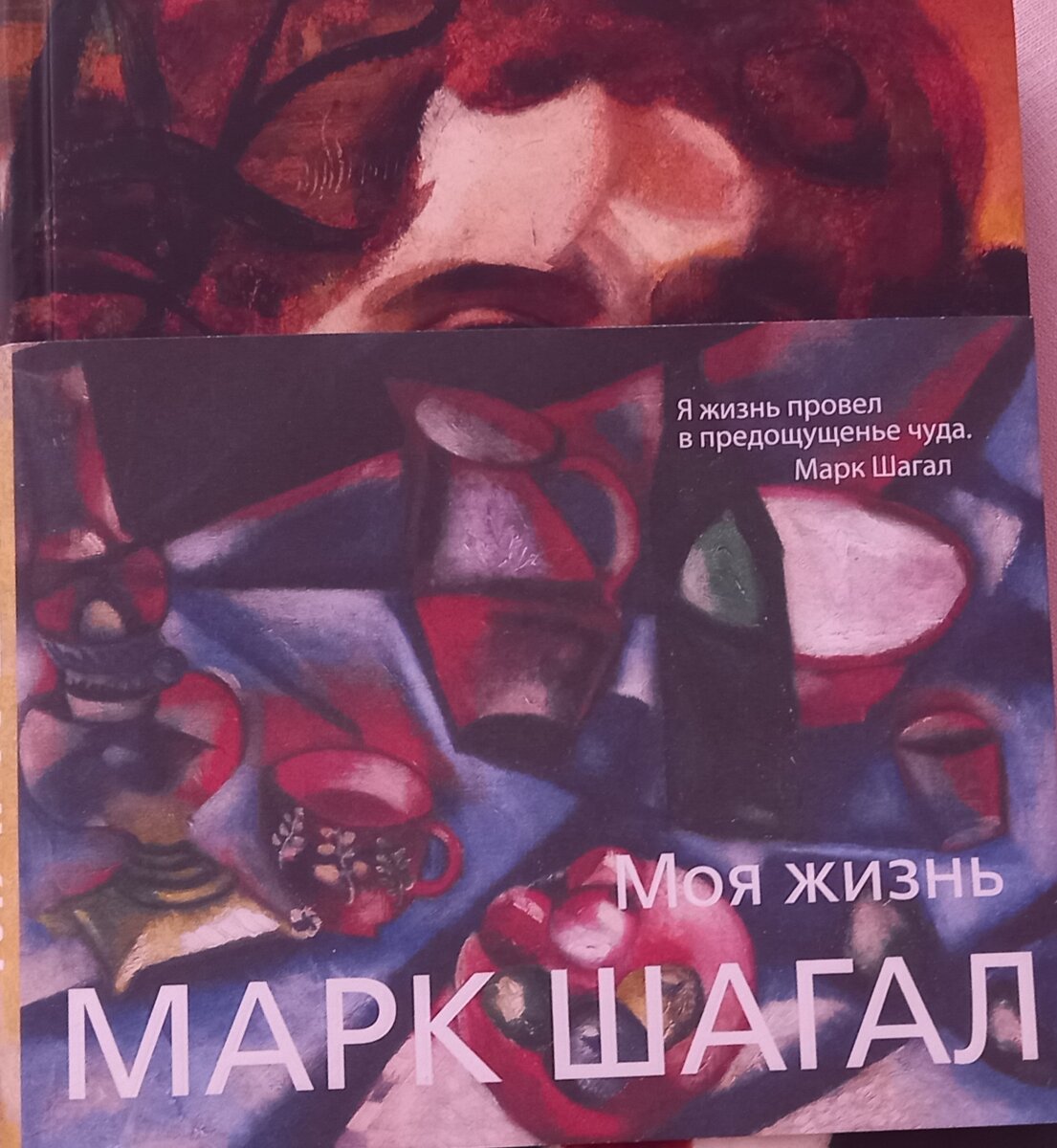 Книга, приобретенная мною в Витебске