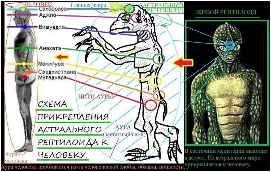 фанфик рептилоид и ожп фото 73