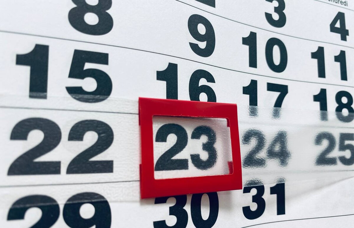 Фото: Тульская служба новостей 