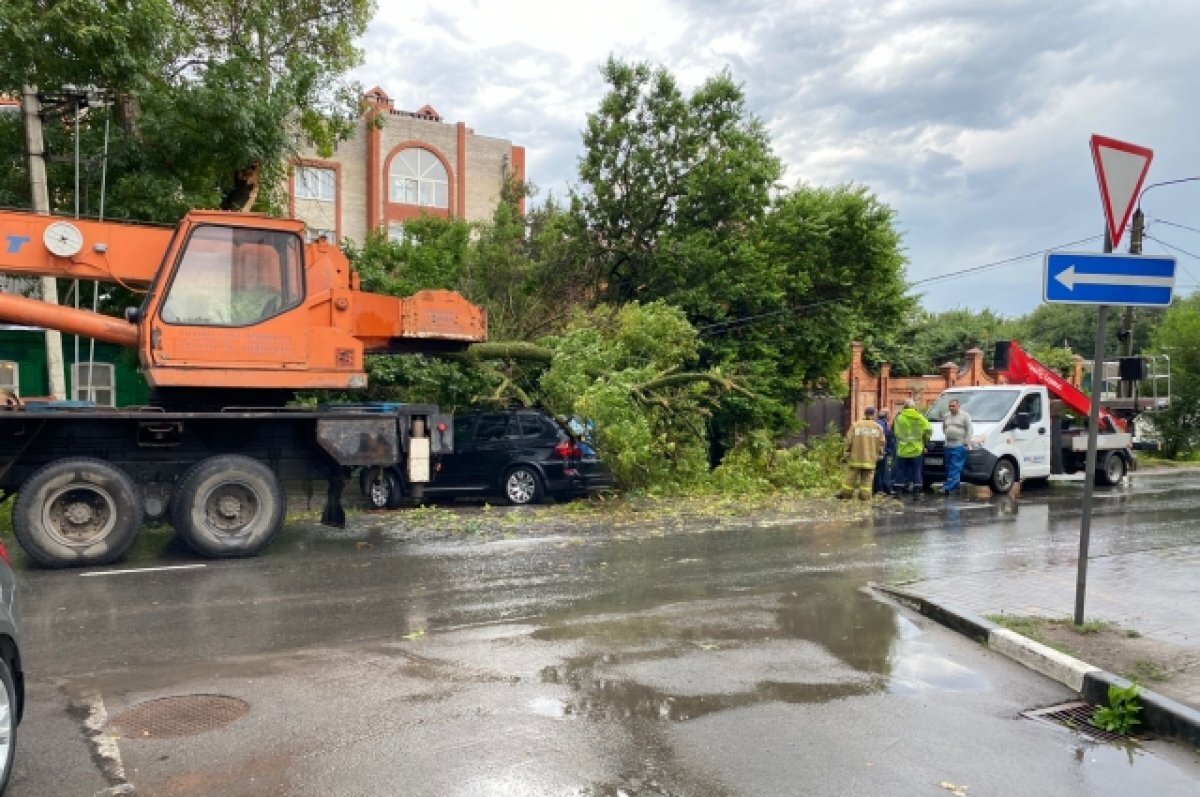    Больше 20 деревьев упало в Томске во время грозы