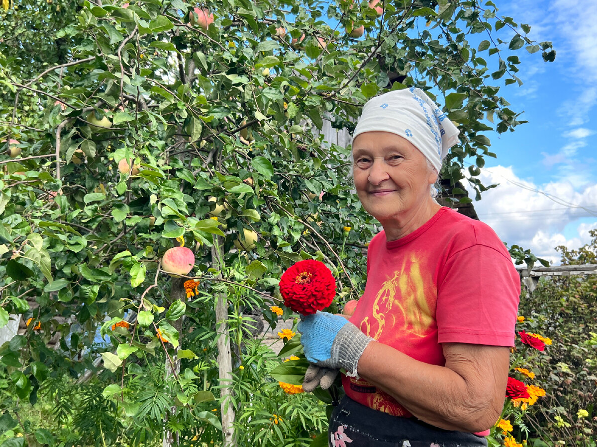 Наш дачный командир