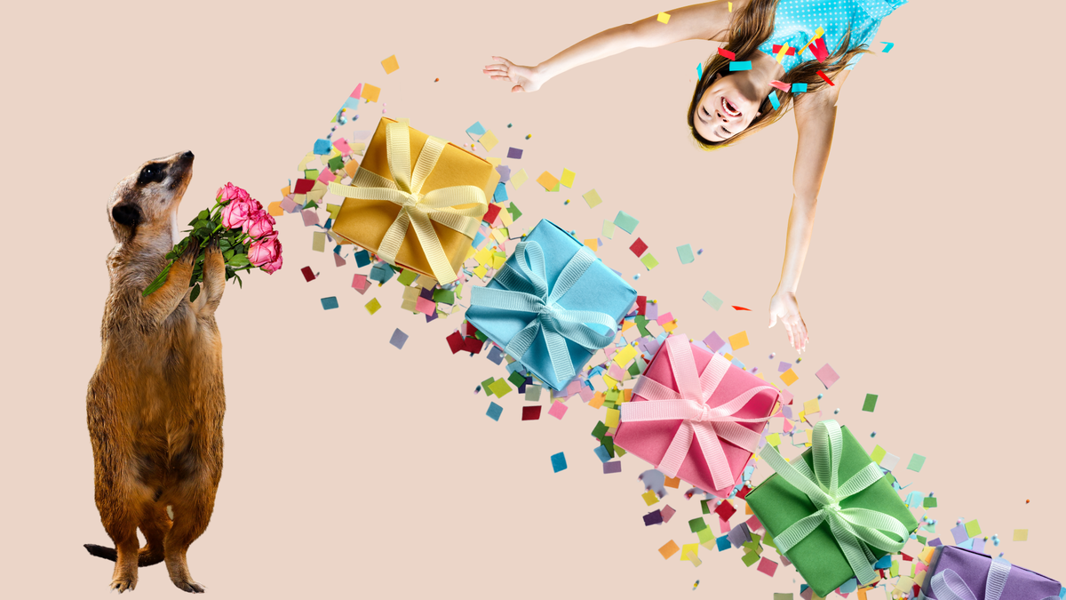 Коллаж автора 