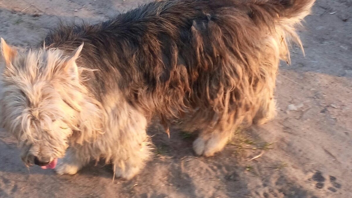 Фото: здесь и далее фото Ирина Б., ВК 