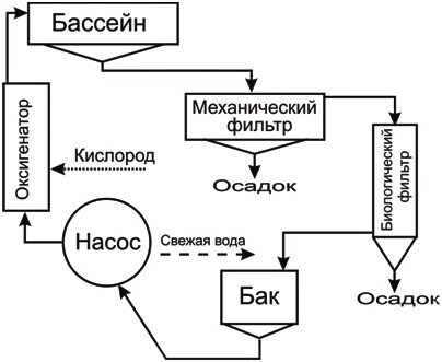 Схема типового устройства УЗВ для выращивания осетровых