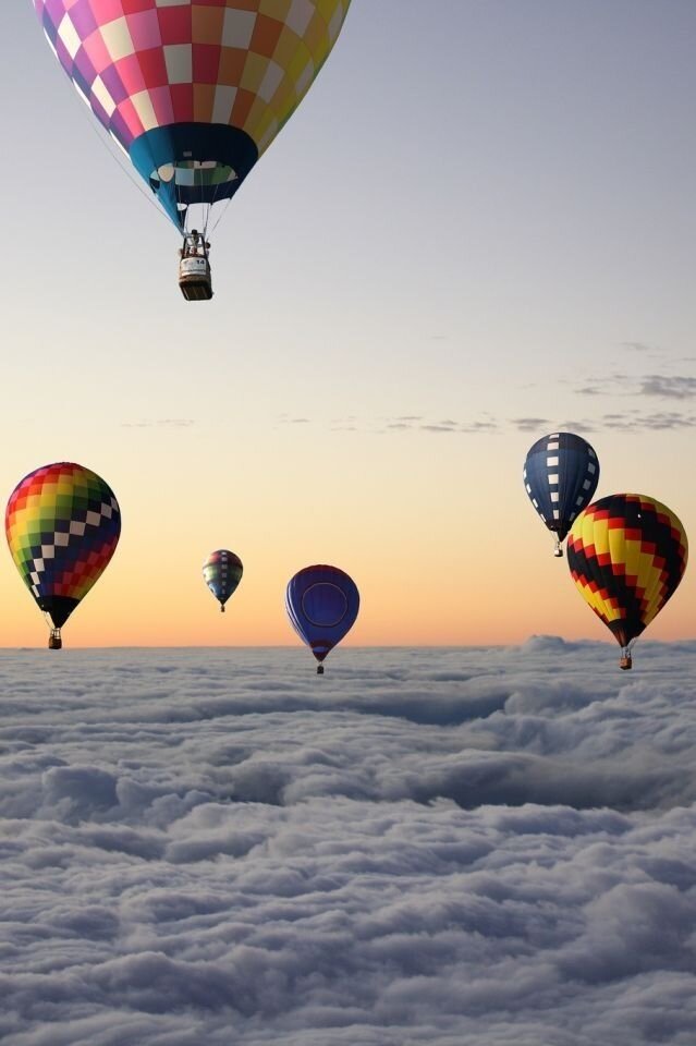 Фото из открытых источников 