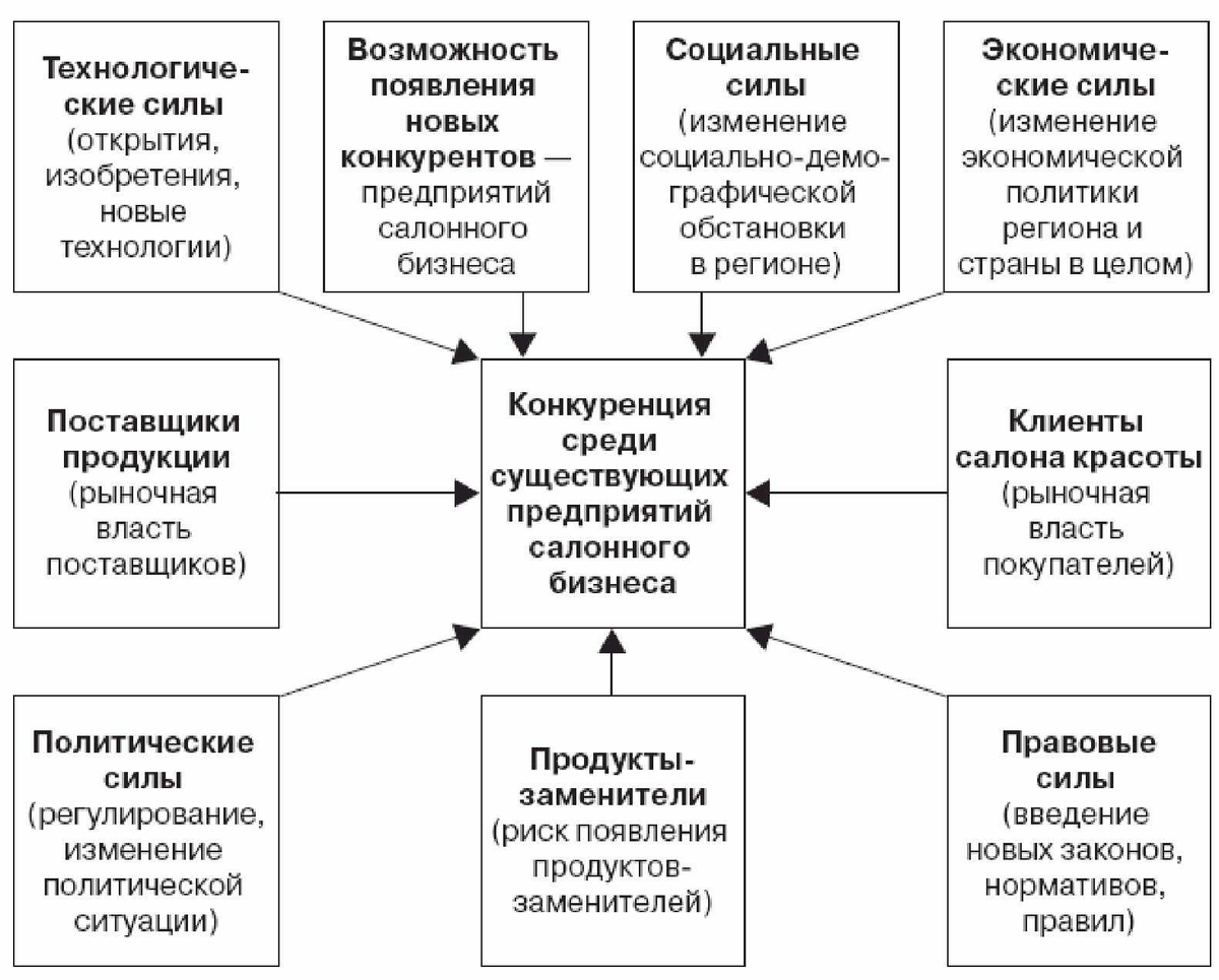 Рис. 1. Схема сил, управляющих конкуренцией в салонном бизнесе.
