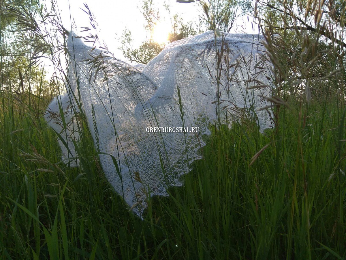 Паутинка на летнем пейзаже